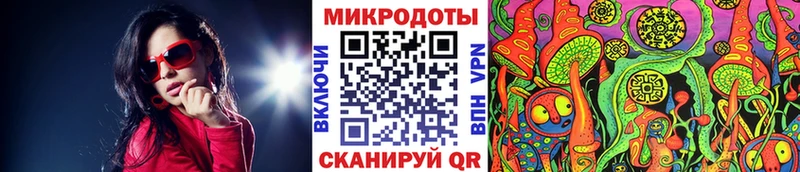 Галлюциногенные грибы Psilocybine cubensis  Струнино 