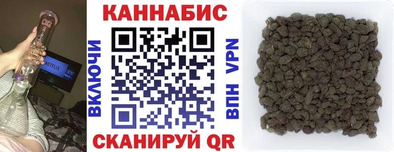 Конопля сатива Струнино